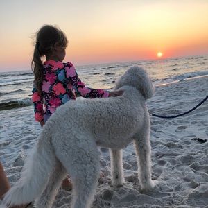 Beautiful FL sunset 💕